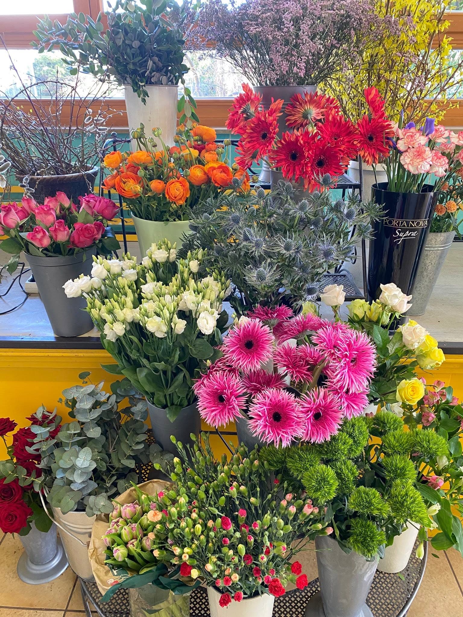 Vielfältige Schnittblumenauslage in Eimern vor gelber Wand
